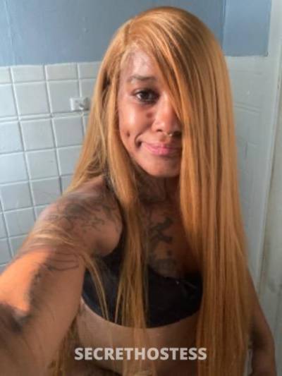 GoldenGoddess 29Yrs Old Escort Buffalo NY Image - 1