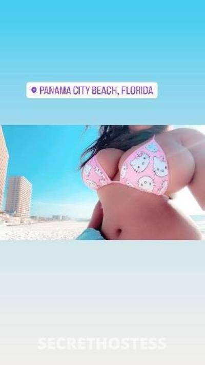 20 year old American Escort in Panama City FL Hilton on 231 hotel incall ✨ car date QV specials
