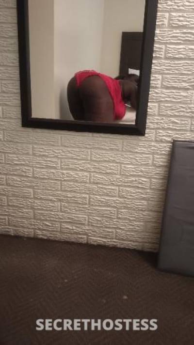 Jasmine 23Yrs Old Escort Northern Virginia DC Image - 2