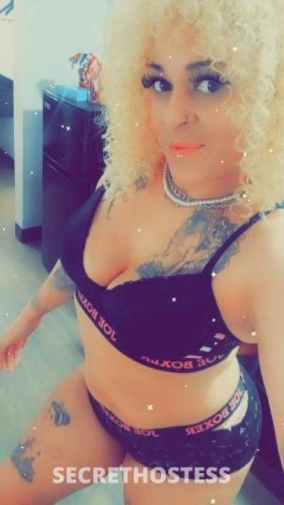 Katt 34Yrs Old Escort Tampa FL Image - 10