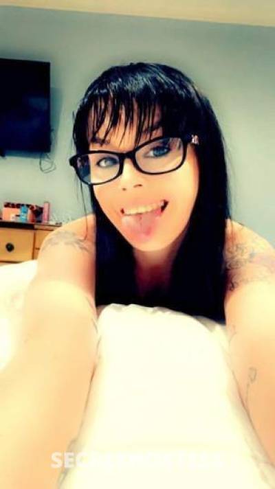 Kimberly 28Yrs Old Escort Dallas TX Image - 4