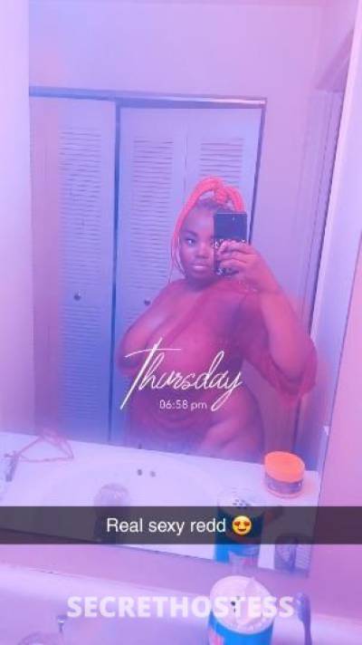 Lalafreaky 27Yrs Old Escort Knoxville TN Image - 4