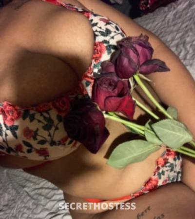 Luna 21Yrs Old Escort Bridgeport CT Image - 1