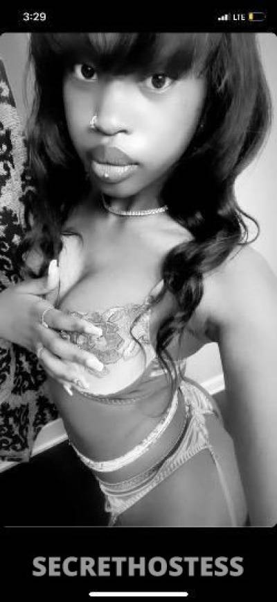 Luxory 20Yrs Old Escort Denver CO Image - 6