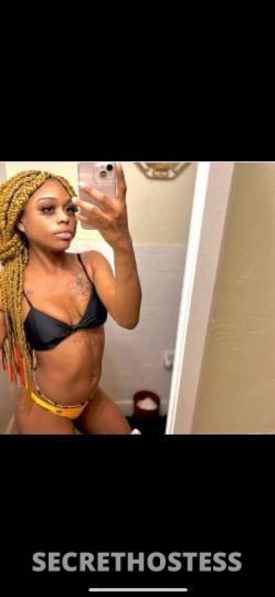 Mollyy 22Yrs Old Escort Columbus GA Image - 0