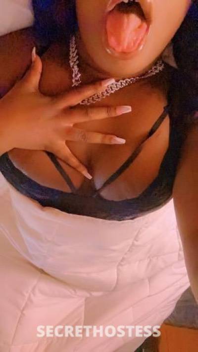 PRETTY🐱 29Yrs Old Escort Saint Louis MO Image - 2