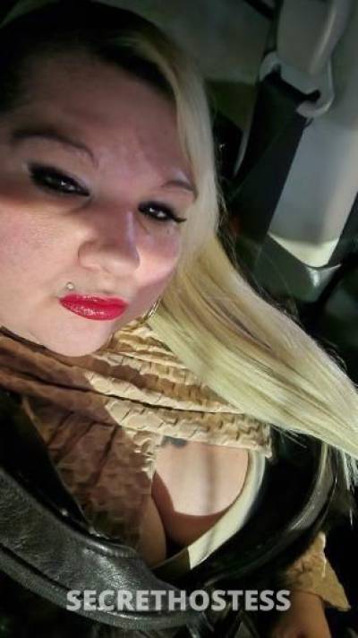 PhatKat 28Yrs Old Escort Springfield MA Image - 1