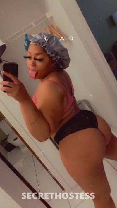 Rosegold 21Yrs Old Escort Little Rock AR Image - 1