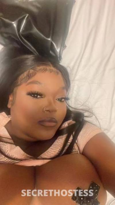 28 year old Haitian Escort in West Palm Beach FL 5'2 Haitian Chocolate Queen(.Incalls&amp;outcalls