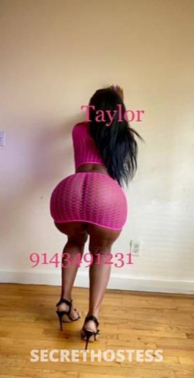 TAYLOR 28Yrs Old Escort Westchester NY Image - 7