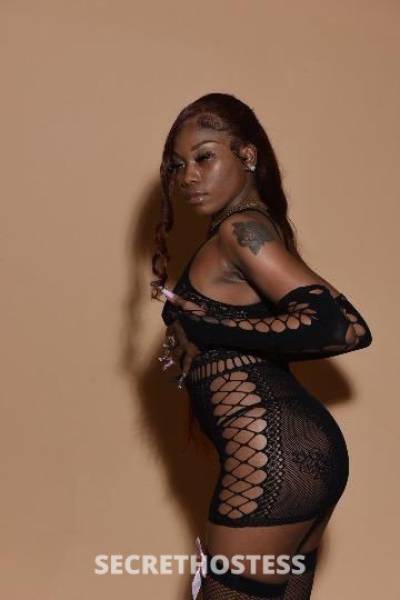 Tink 24Yrs Old Escort San Fernando Valley CA Image - 3