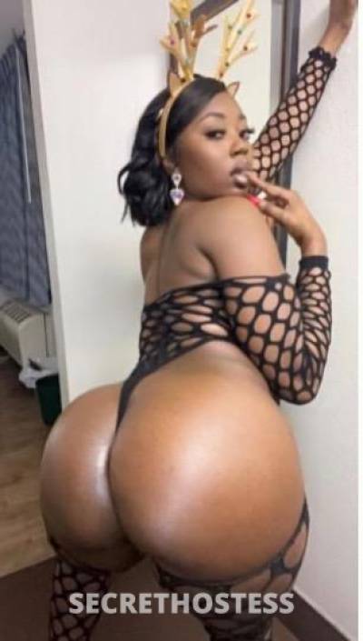 Treasuree 24Yrs Old Escort Rochester NY Image - 3