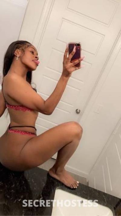 22Yrs Old Escort Tampa FL Image - 1