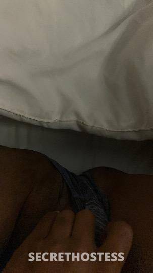 Rose 19Yrs Old Escort Treasure Coast FL Image - 2