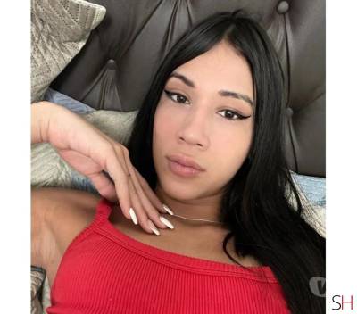 20 Year Old White Escort Vila Velha - Image 7