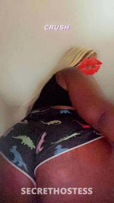 23Yrs Old Escort North Mississippi MS Image - 2