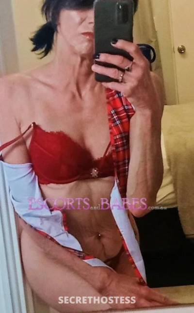 42Yrs Old Escort Size 6 162CM Tall Perth Image - 4