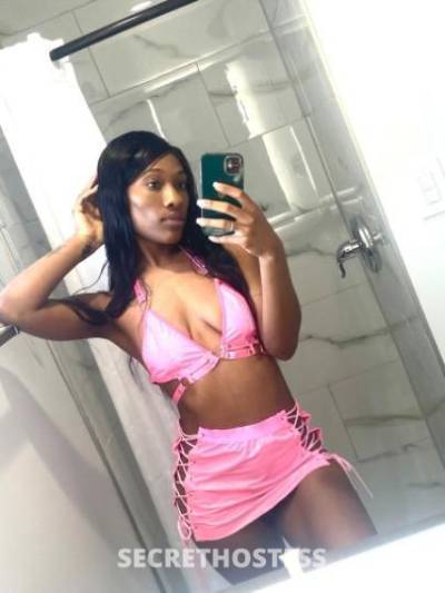 Alexis 24Yrs Old Escort Kansas City MO Image - 1