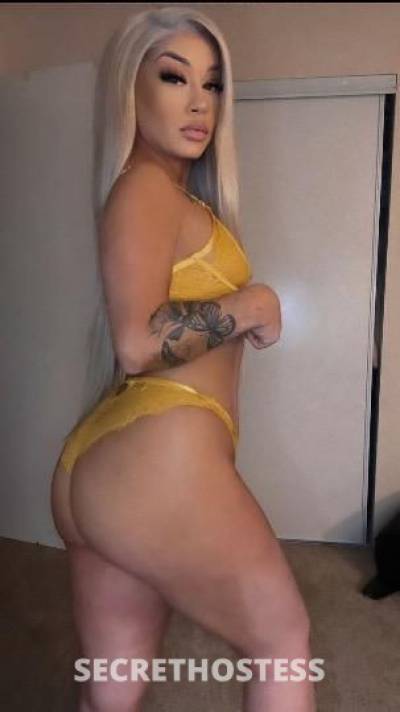 AprilRene 23Yrs Old Escort Denver CO Image - 7