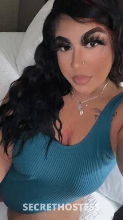 AutumnKaye 23Yrs Old Escort San Jose CA Image - 0