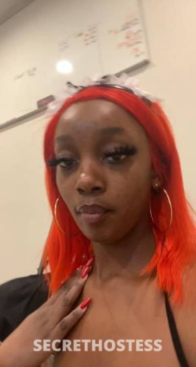 BeautifulBrown 23Yrs Old Escort Long Beach CA Image - 4