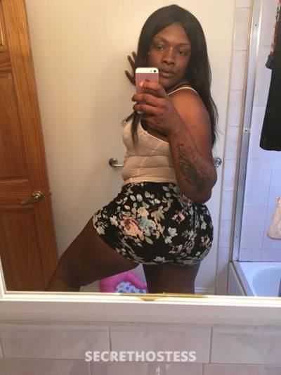 Candy 29Yrs Old Escort Chicago IL Image - 3