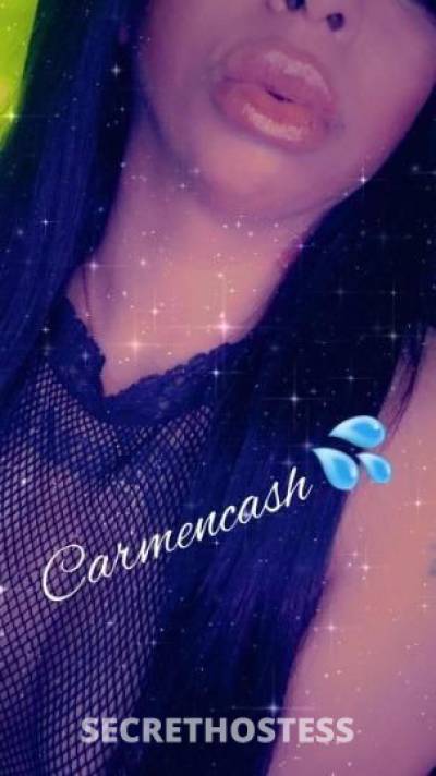 CarmenCash 26Yrs Old Escort Mendocino CA Image - 1