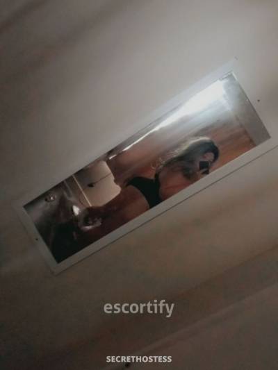 Charlotté CBD xox 20Yrs Old Escort 157CM Tall Auckland Image - 2