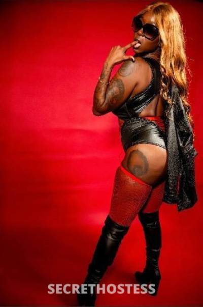 CoCoCocaina 27Yrs Old Escort Central Jersey NJ Image - 1