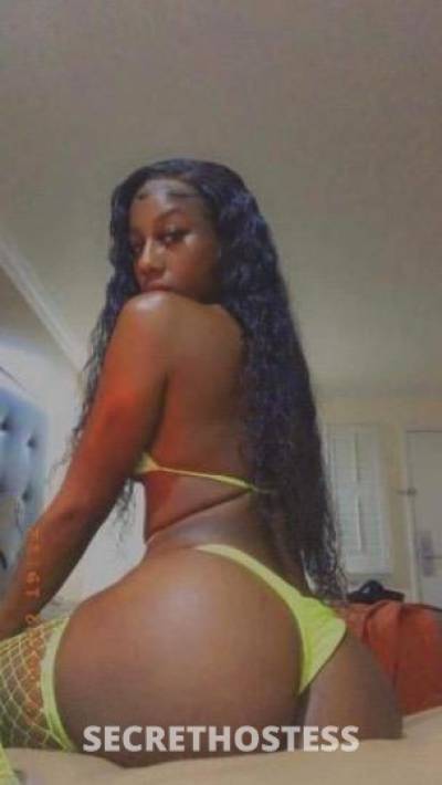 Dede 26Yrs Old Escort Orlando FL Image - 1