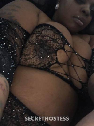 Frenchie 30Yrs Old Escort Saint Louis MO Image - 6