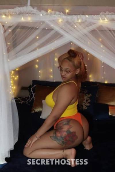 21 year old Irish Escort in Brooklyn NY Irish Bunny New in town
