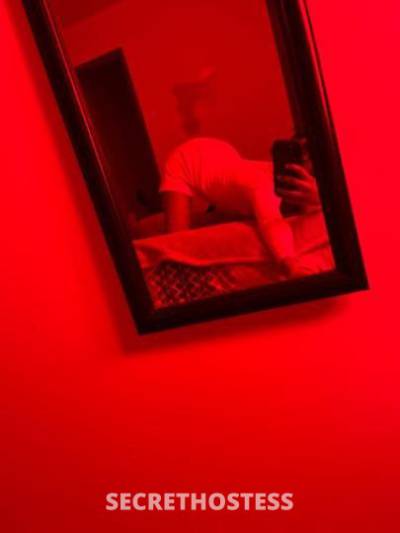 Harmonie💞🌎 21Yrs Old Escort Evansville IN Image - 4