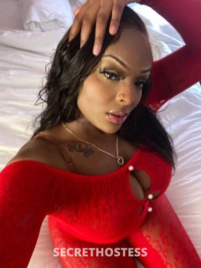 Honey🍯 23Yrs Old Escort Monterey CA Image - 5