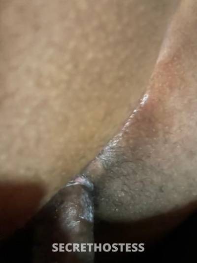 Honey 26Yrs Old Escort Oakland CA Image - 6