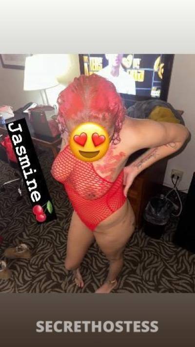 Jasmine 20Yrs Old Escort Little Rock AR Image - 3