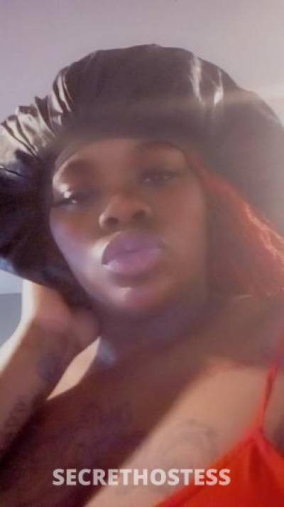 Kayy 23Yrs Old Escort Saint Louis MO Image - 5