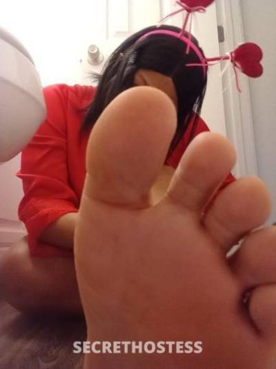 27 year old Escort in Dayton OH Hi Daddy
