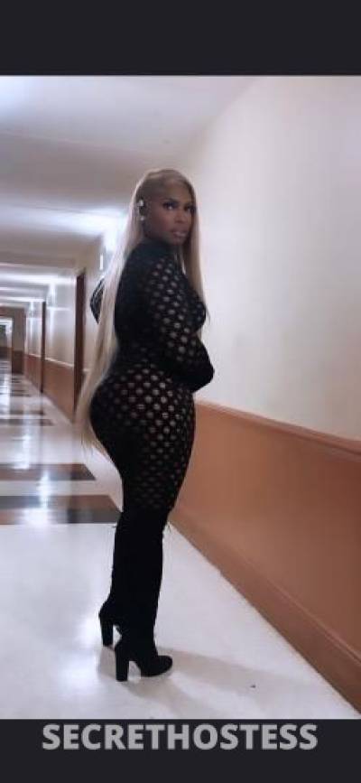 Milly 35Yrs Old Escort Charlotte NC Image - 6