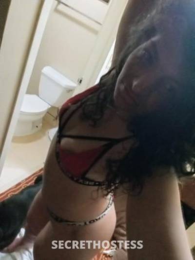 29 year old Escort in Raleigh-Durham NC sweet sexy cute as girl next door and bootylicious