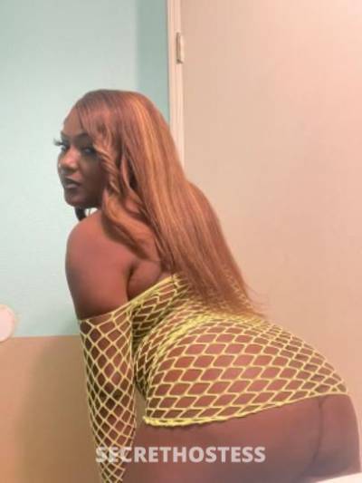 Oshin 23Yrs Old Escort Stockton CA Image - 1