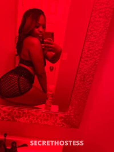 Sapphire 19Yrs Old Escort 157CM Tall Miami FL Image - 1