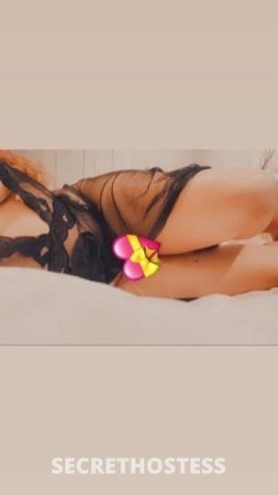 Treasure 28Yrs Old Escort Oakland CA Image - 5