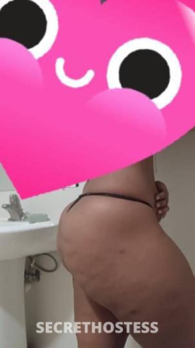 26 year old Escort in Rochester NY Qs80hh100 h170 !! outs and incalls