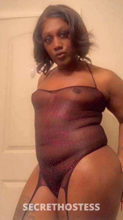 cumcatcher 29Yrs Old Escort Baton Rouge LA Image - 2