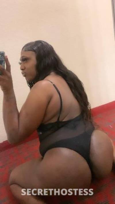 cumcatcher 29Yrs Old Escort Baton Rouge LA Image - 3