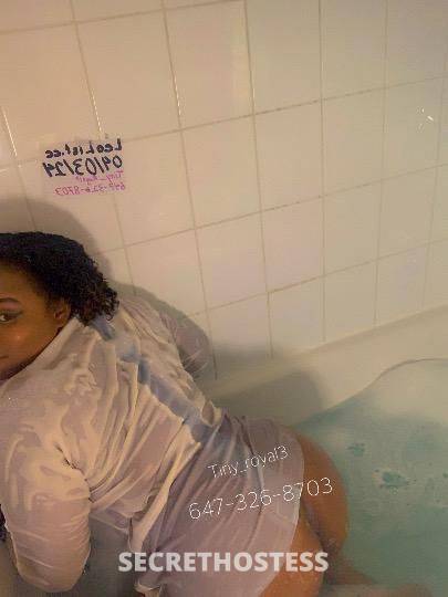 Tiny_royal3 23Yrs Old Escort Toronto Image - 0