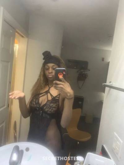 21Yrs Old Escort Dallas TX Image - 1