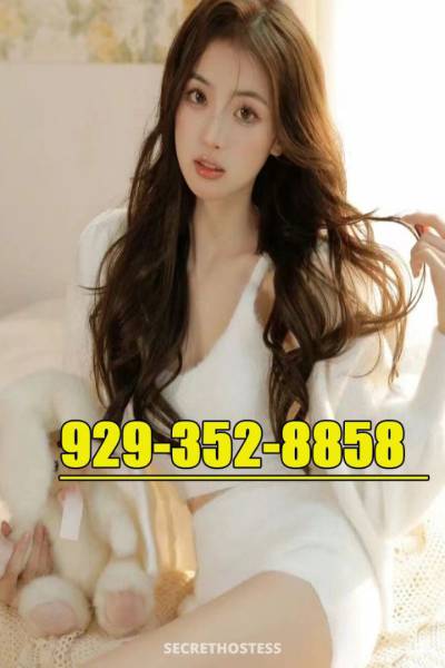 28Yrs Old Escort Boston MA Image - 5