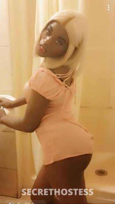 Amira 28Yrs Old Escort Milwaukee WI Image - 9